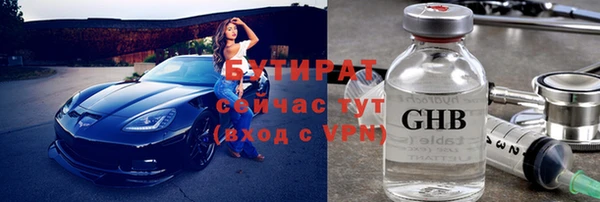 гидра Няндома