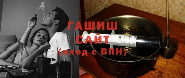 гидра Няндома