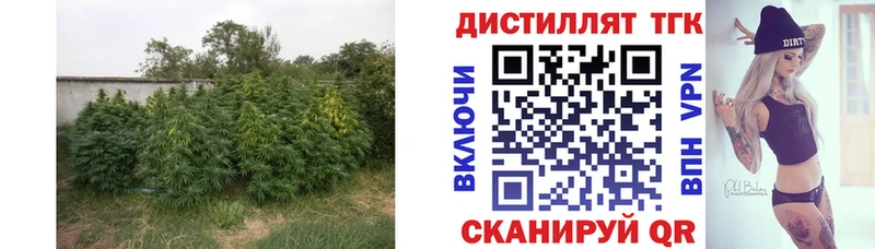 продажа наркотиков  Волжский  Дистиллят ТГК вейп с тгк 