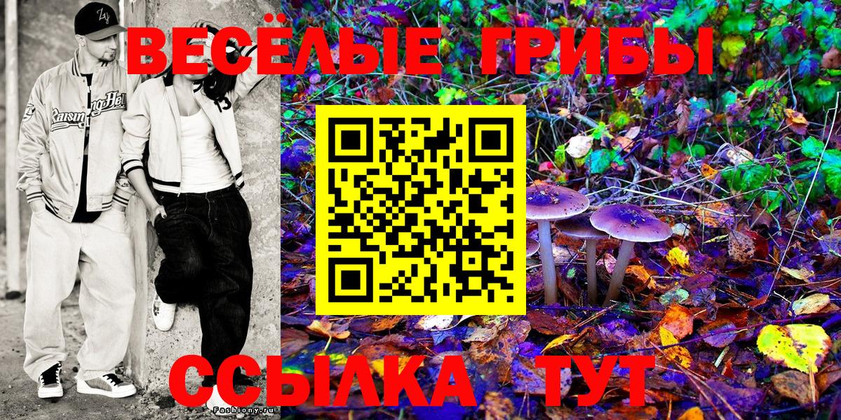 Псилоцибиновые грибы Psilocybe Волжский